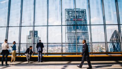 عيوب الشركة ذات المسؤولية المحدودة