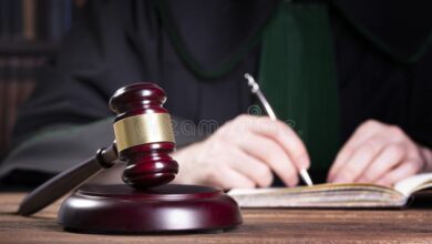 صيغة استئناف حكم النفقة