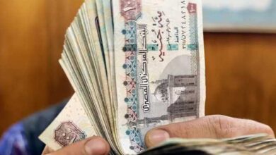 الاستعلام عن قيمة المعاش بالاسم