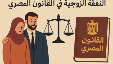 النفقة الزوجية في اللقانون المصري